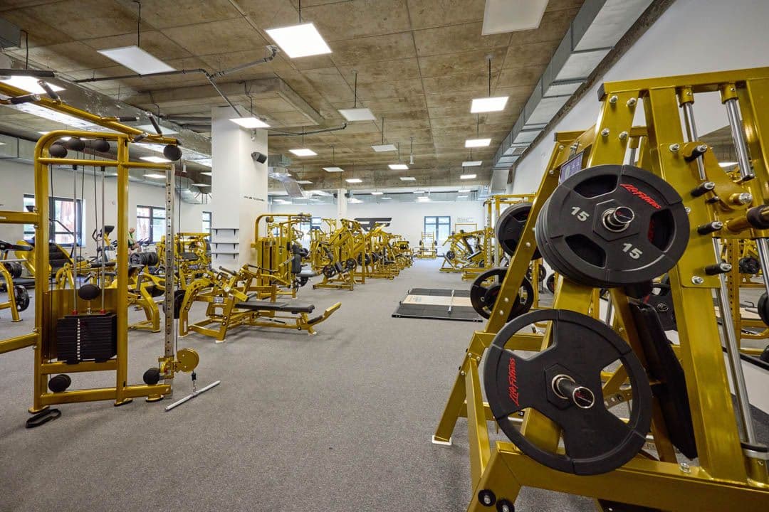 really fitness